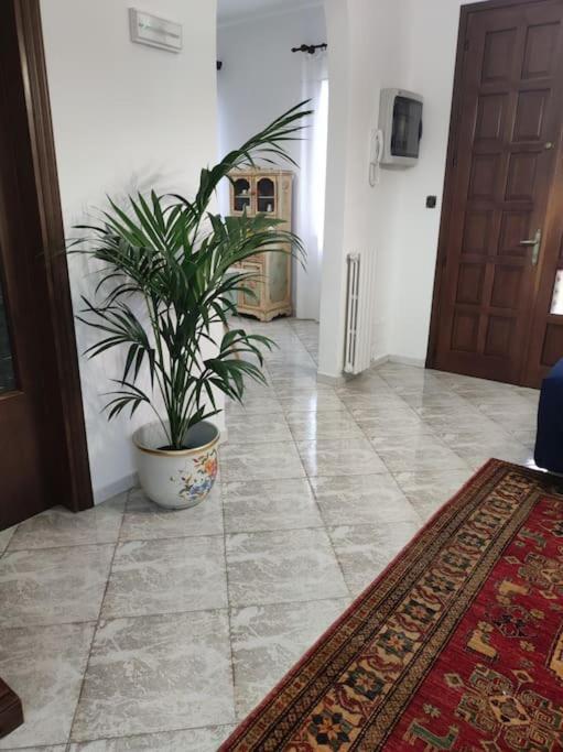 Villa Casa Argia Padova Esterno foto