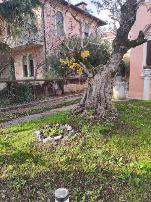 Villa Casa Argia Padova Esterno foto